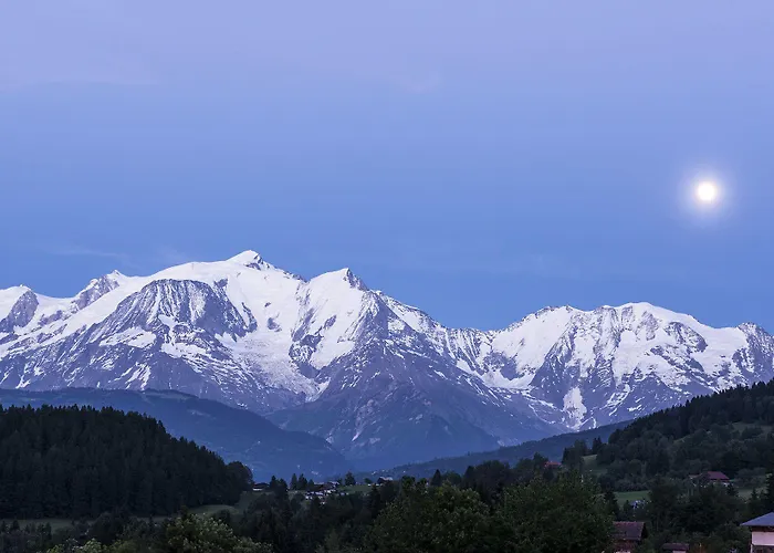 Hotel Les Roches Fleuries