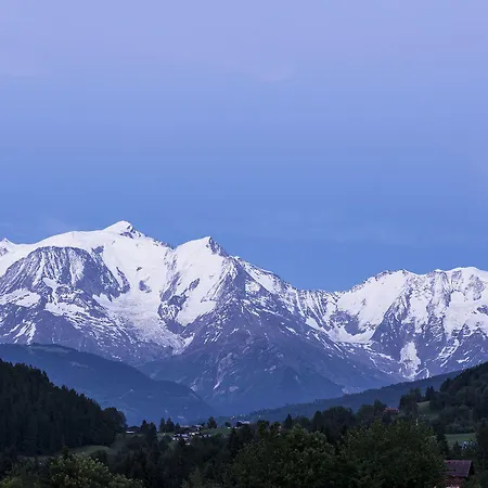 Hotel Les Roches Fleuries